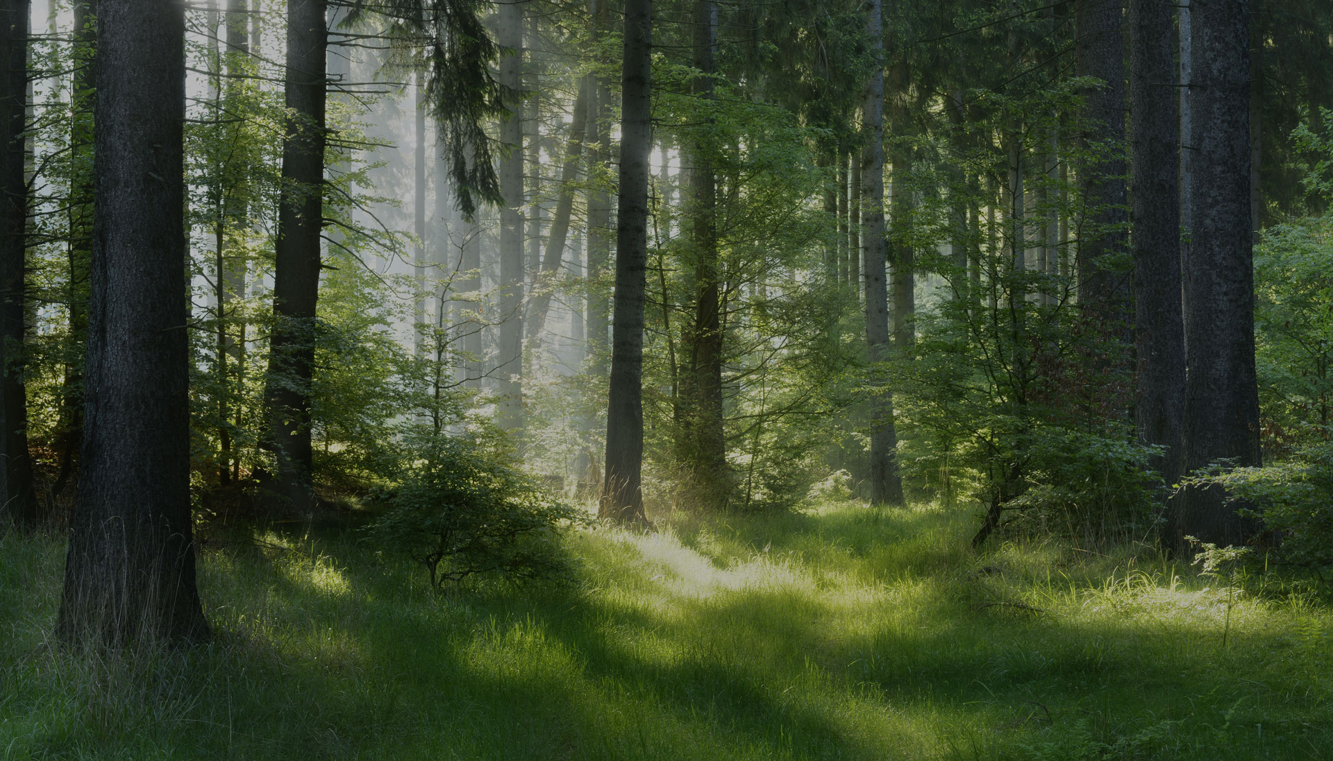 mets&auml;tila, mets&auml;&auml; myynniss&auml;, myyj&auml;n hinta, 000, Myy mets&auml;si