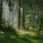 Myy metsäsi